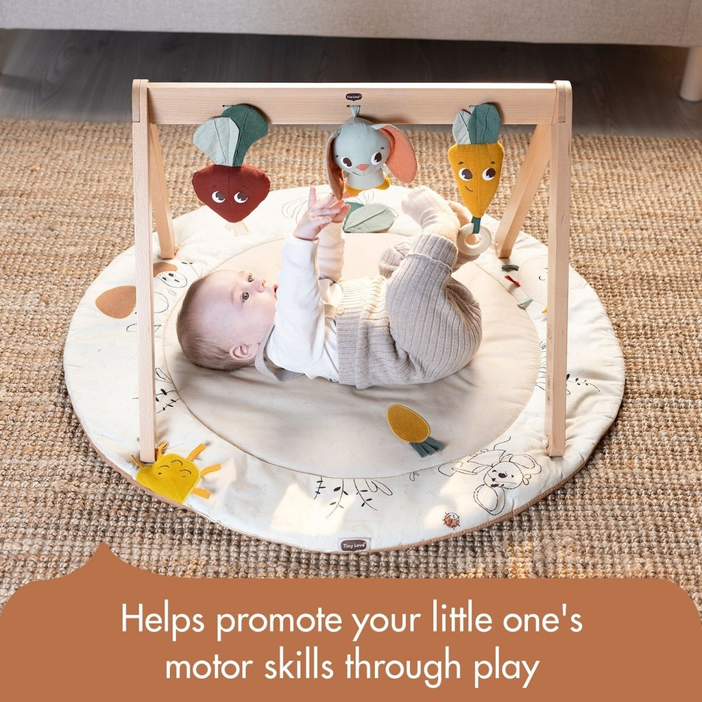 Tiny Love Developmental Gymini With Book-Garden of Advneture_9 - ANB Baby