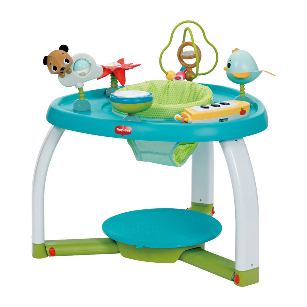 Tiny Love Infant and Toddler Stationary Activity Center-Meadow Day  - ANB Baby