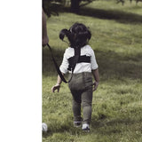 DIONO Safety Harness and Reins Sure Steps - ANB Baby