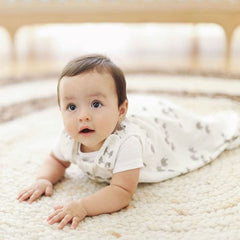 Ergobaby Sleeping Bag, Small, ANB BABY