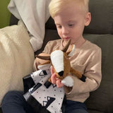 Frankie Dean Dream Blanket and Book, Ollie the Goat - ANB Baby