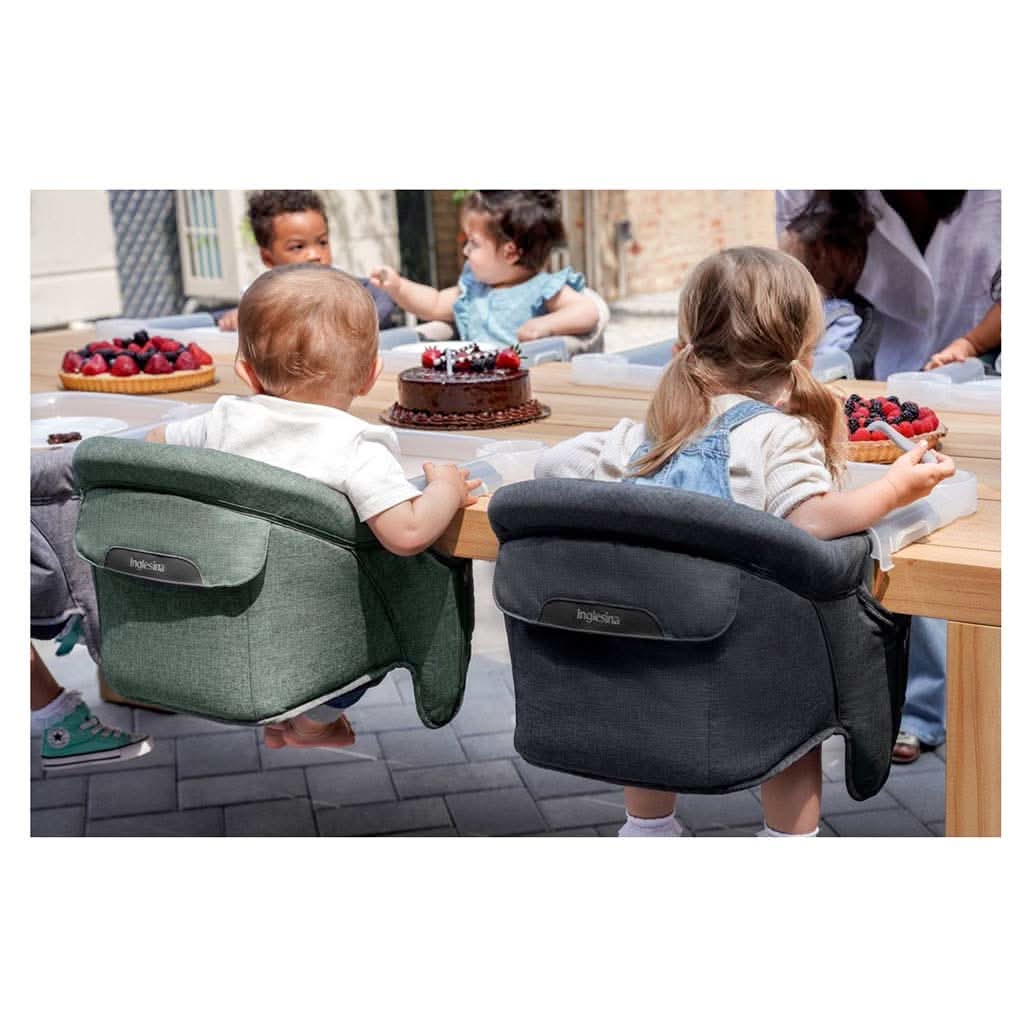 Inglesina Premium Fast Table Chair ANB BABY