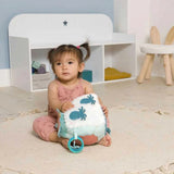 Little Big Friends Activity Cube - ANB Baby