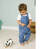 Little Big Friends Robert The Zebra Pull Along - ANB Baby
