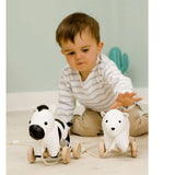 Little Big Friends Robert The Zebra Pull Along - ANB Baby