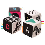 Manhattan Toy Wimmer Ferguson Soft Mind Cubes - ANB Baby