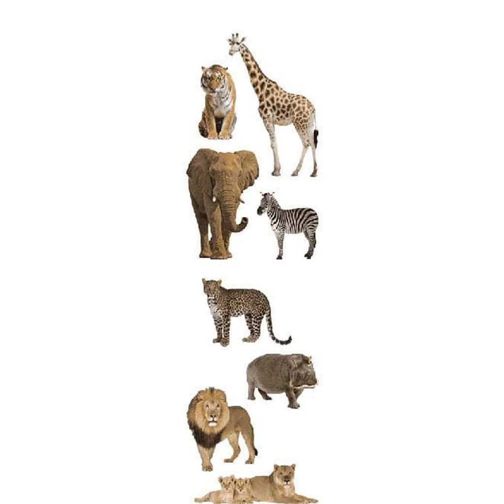 Mrs Grossman's Strip of Photoessence of Wild Animals Stickers-Puzzles & Games-Mrs. Grossman's-ANB Baby Store