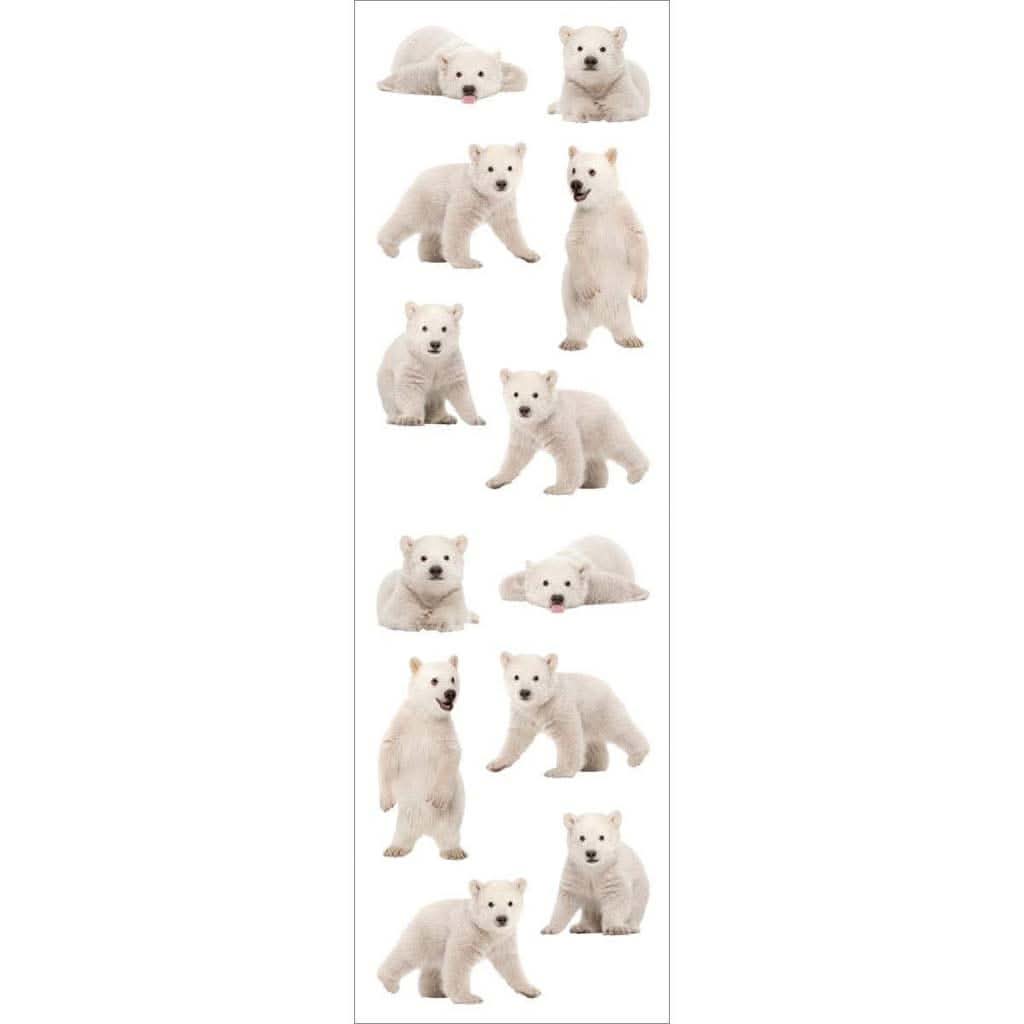 Mrs Grossmans Strip of Photoessence Polar Bears Cubs Stickers, ANB BABY