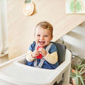 Nuna Zaaz High Chair