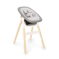 Nuna BRYN Highchair with Newborn Rocker