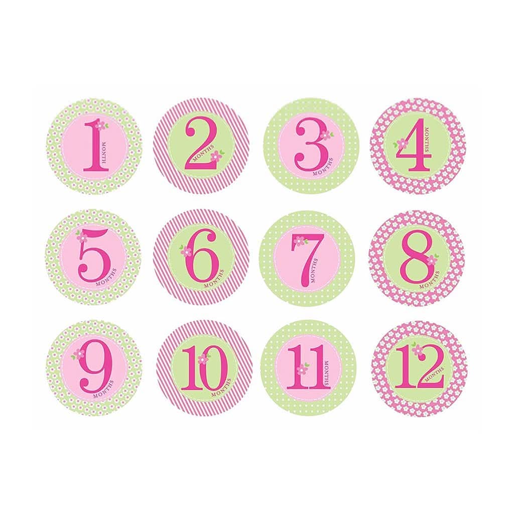 PEARHEAD Baby Milestone Stickers, Pink-Puzzles & Games-Pearhead-ANB Baby Store