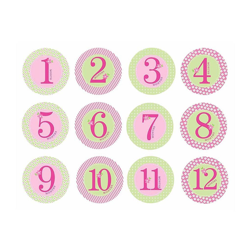 PEARHEAD Baby Milestone Stickers, Pink - ANB Baby