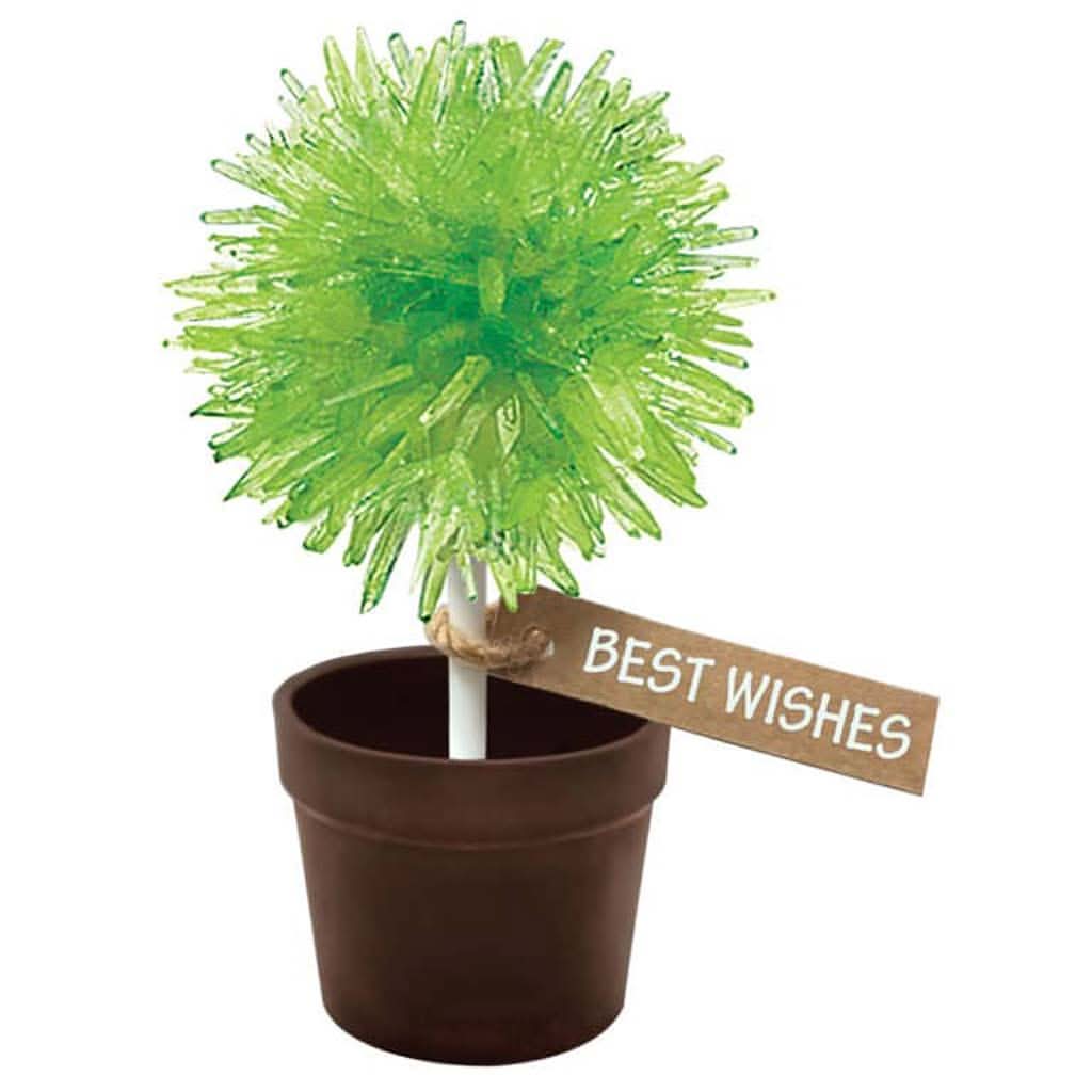Schylling Crystal Lollipop Tree, ANB BABY