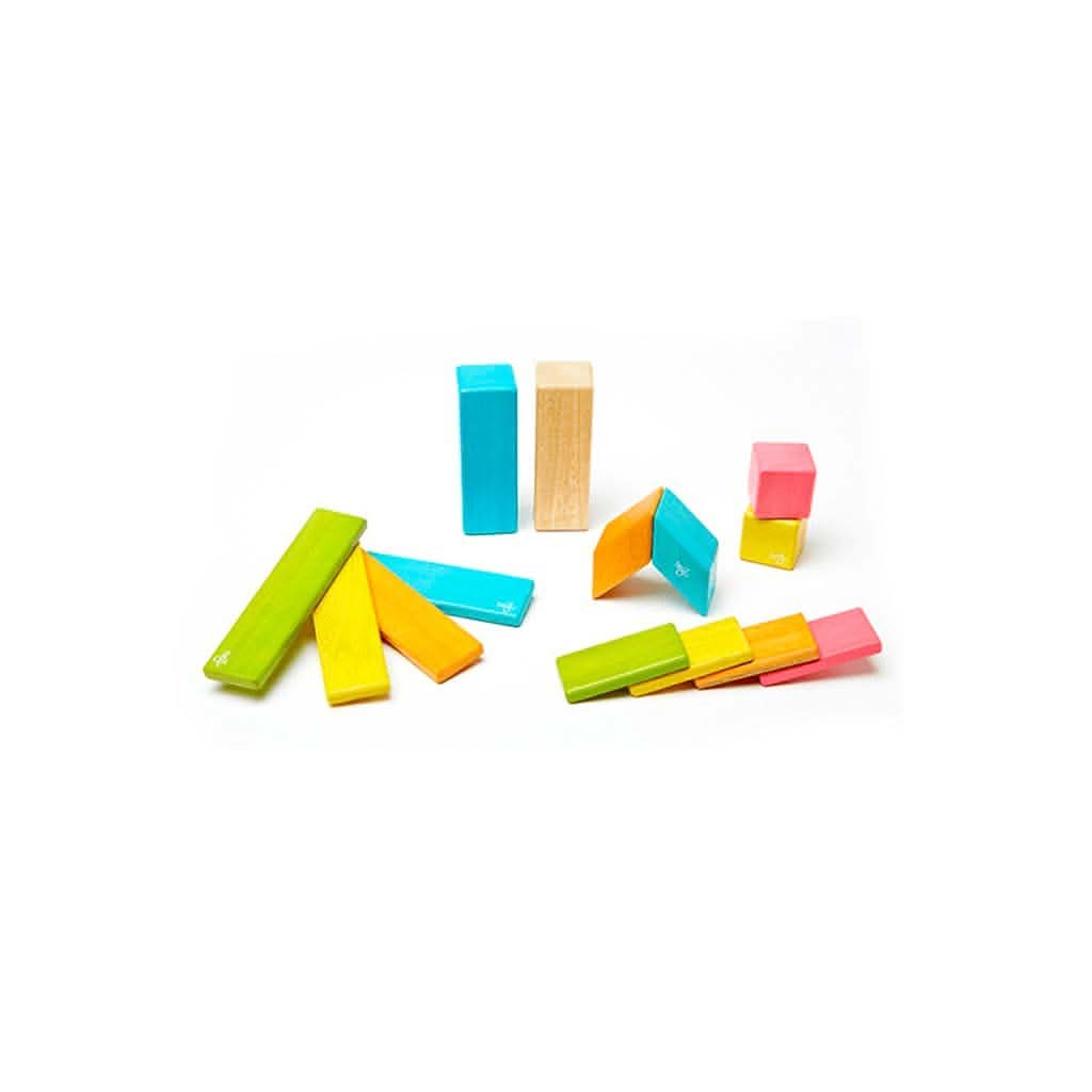 Tegu Magnetic Wooden Block Set, Tints 14-42 Piece Sets-Building Blocks & Sets-Tegu-14 Pieces-ANB Baby Store