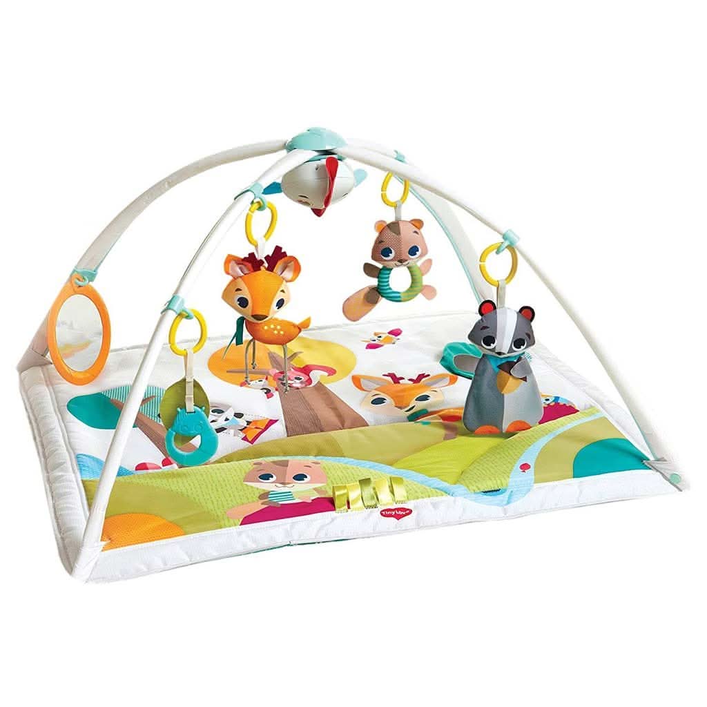Tiny Love Into the Forest™ Gymini Deluxe-Walkers & Activity Centers-Tiny Love-ANB Baby Store