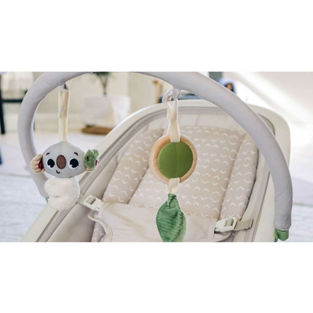 Tiny Love Kori 2 in 1 Rocker, Boho Chic, ANB BABY