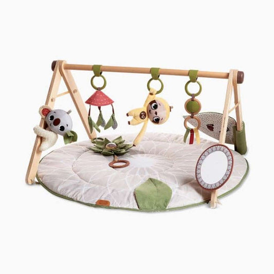 Tiny Love Luxe Gymini Activity Mat, Boho Chic, ANB BABY