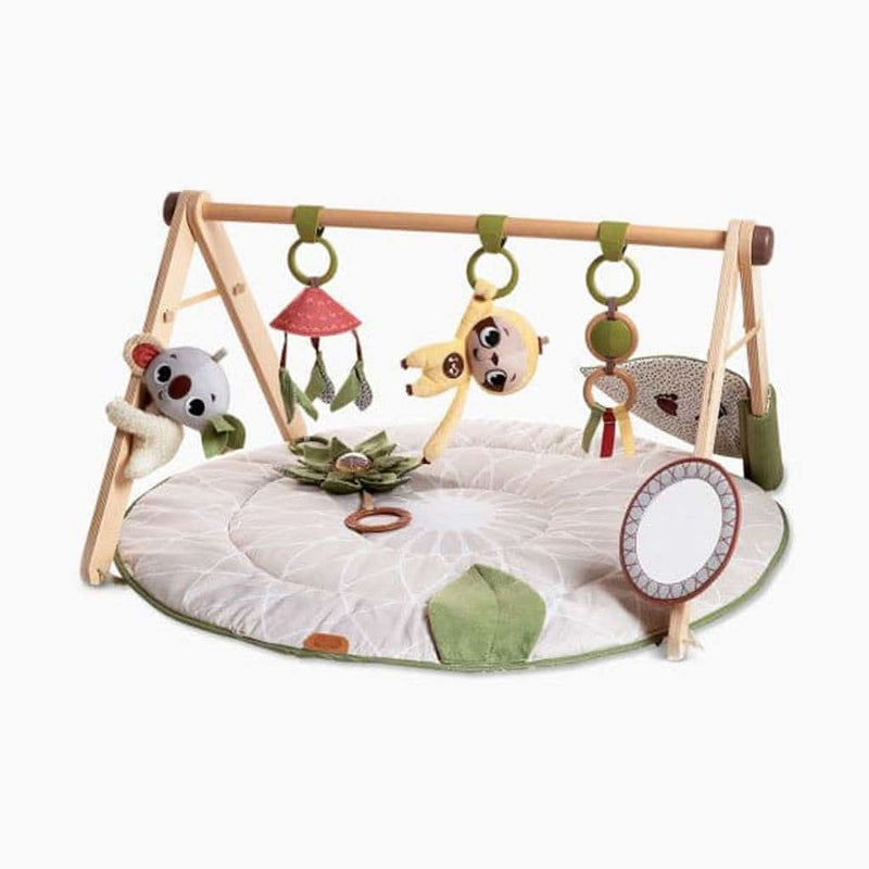 Tiny Love Luxe Gymini Activity Mat, Boho Chic - ANB Baby