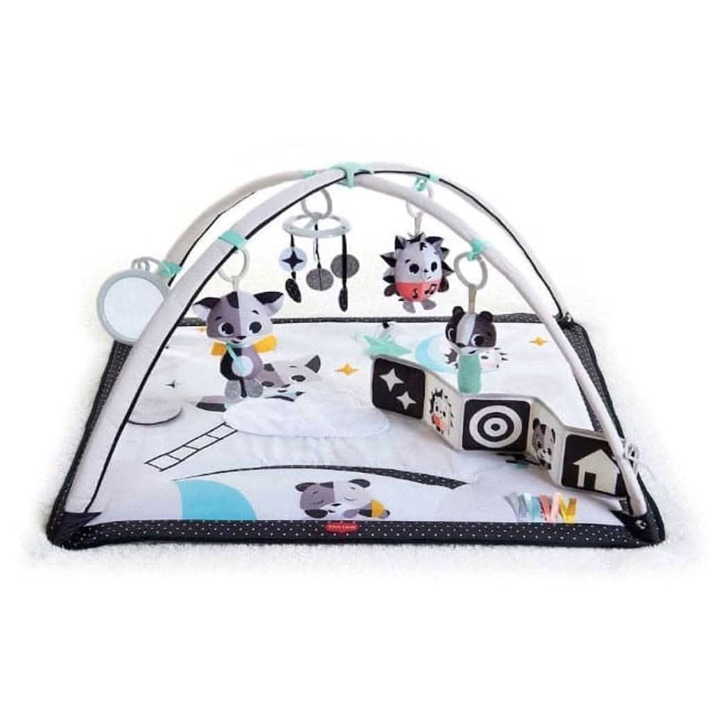 TINY LOVE Magical Tales Black and White Gymini-Walkers & Activity Centers-Tiny Love-ANB Baby Store