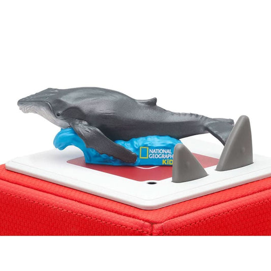 Tonies National Geographic: Whale Audio Play Figurine - ANB Baby