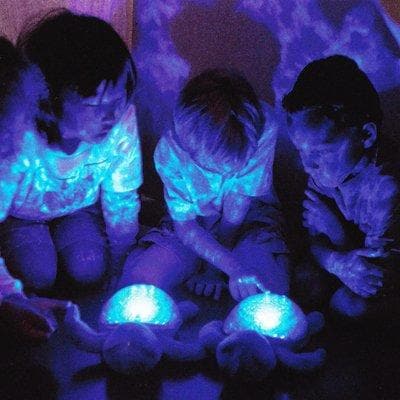 CLOUD B Tranquil Turtle Magic LED Night Light - ANB Baby -$20 - $50