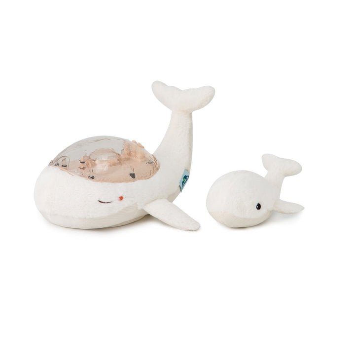 Cloud B Tranquil Whale Family, White - ANB Baby -3700552360528$50 - $75