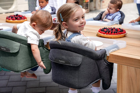 Inglesina Premium Fast Table Chair, -- ANB Baby