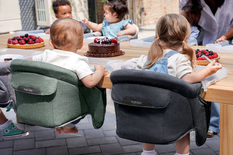 Inglesina Premium Fast Table Chair, -- ANB Baby