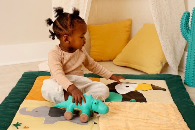 Little Big Friends Achille The Crocodile Pull Along, -- ANB Baby