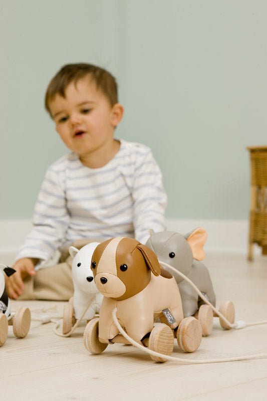 Little Big Friends Pull Along Adrien the Dog - ANB Baby -3700552303563$20 - $50
