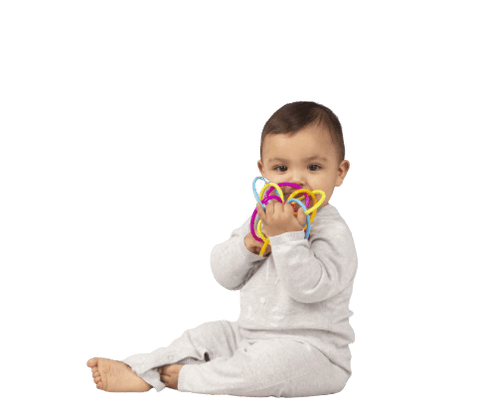 Manhattan Toy Winkel Rattle & Sensory Teether Toy - ANB Baby -teething