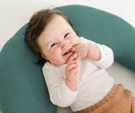 Snuggle Me Organic Feeding + Support Pillow - ANB Baby -$50 - $75