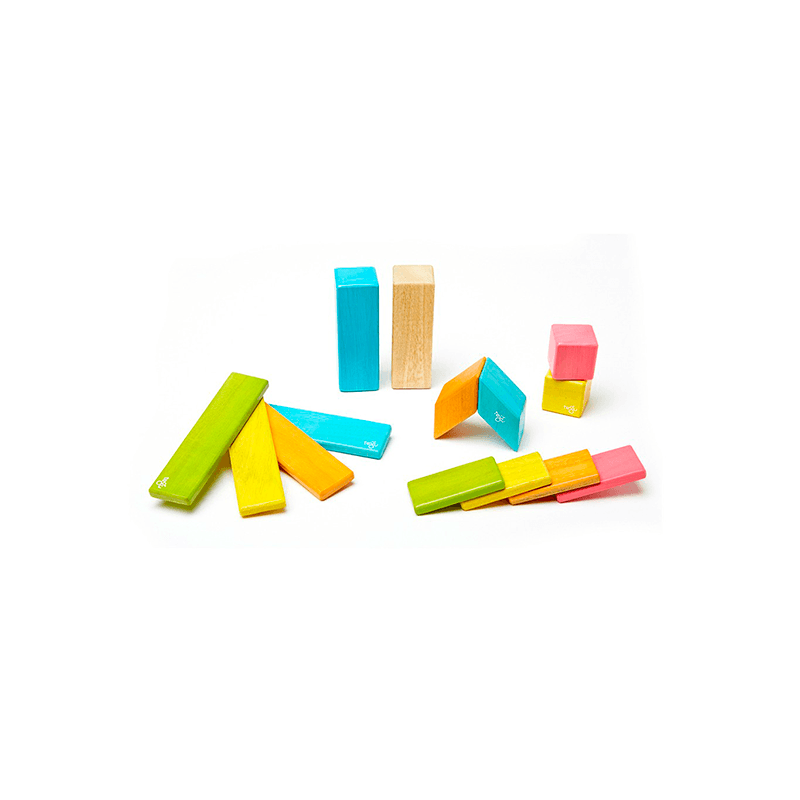 Tegu Magnetic Wooden Block Set, Tints 14-42 Piece Sets, -- ANB Baby