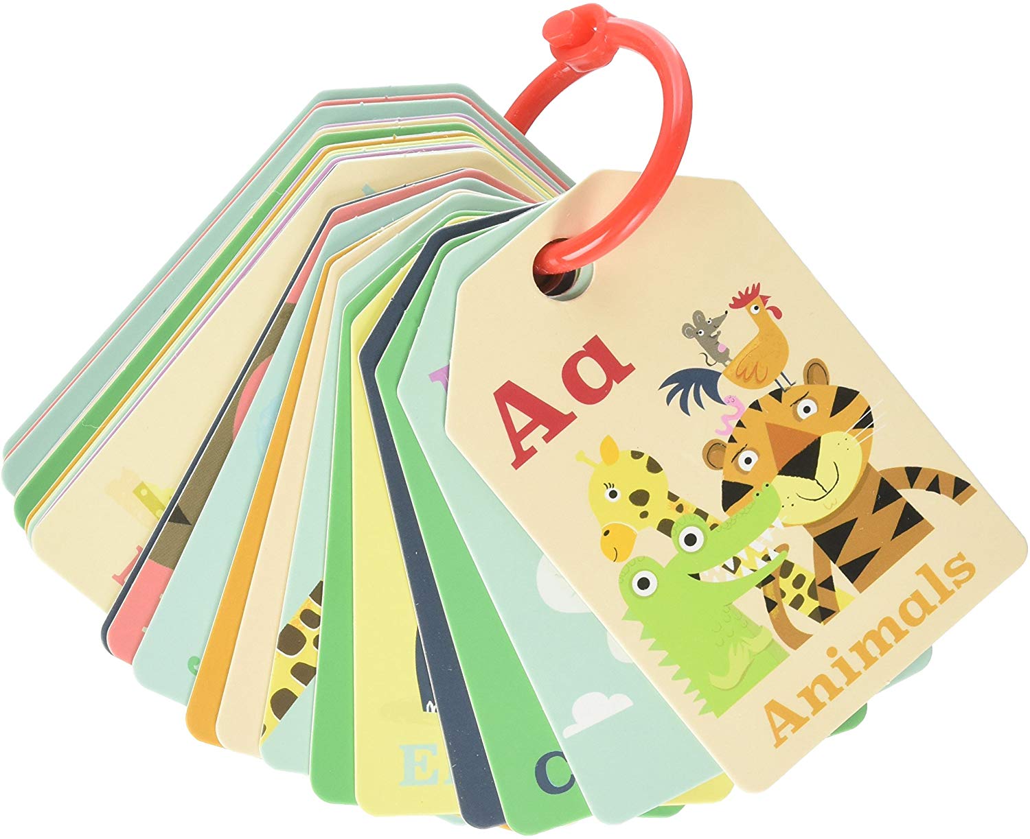 TIGER TRIBE Toys Flash Cards Animal ABC Learning Toy - ANB Baby -biz-hidden