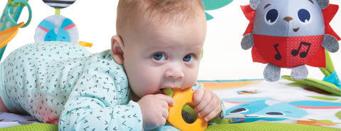 TINY LOVE Meadow Days Sunny Day Gymini Mat - ANB Baby -activity mat